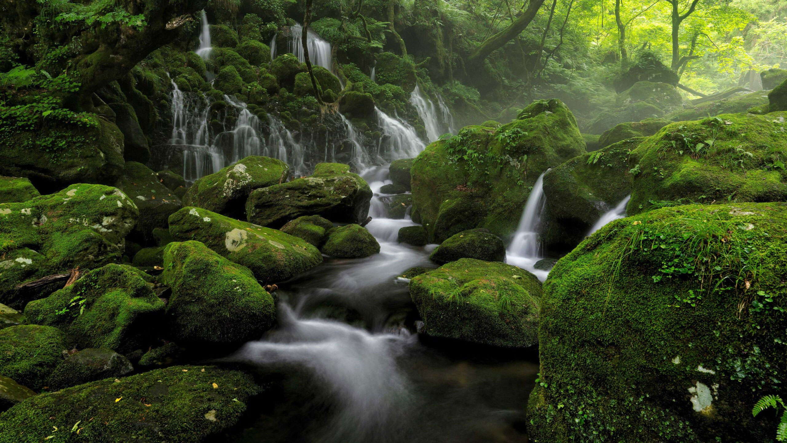 Pimennysverhojen takaa: toivoa ja valonpilkahduksia.