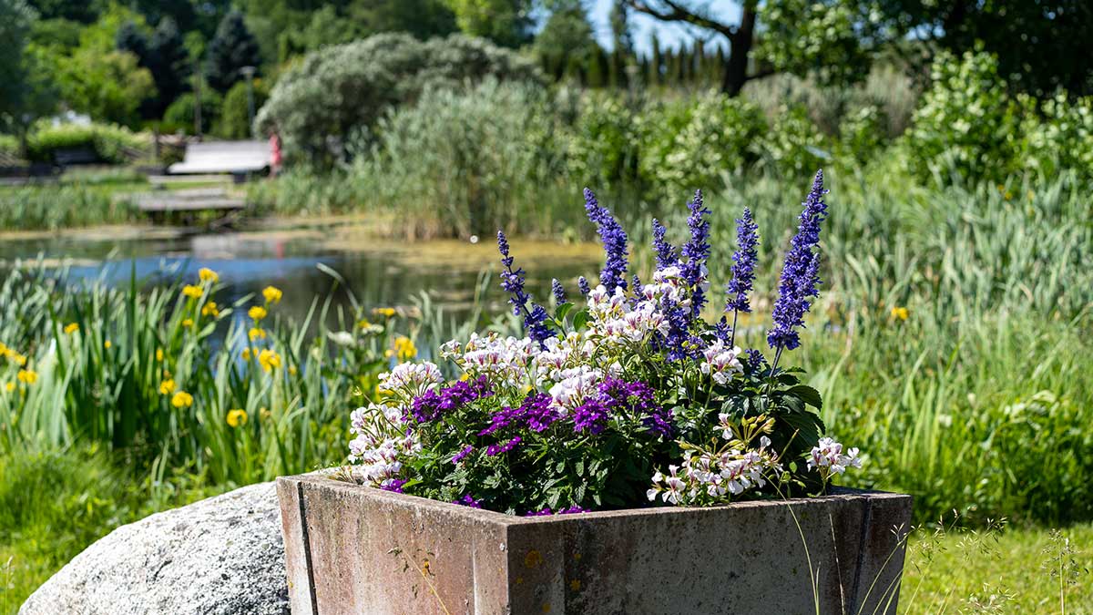 Miksi (johtajankin) kannattaa lomailla?