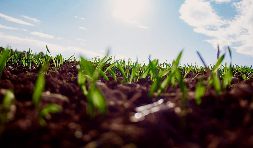 Kevättöitä ja muutoksen tuulia