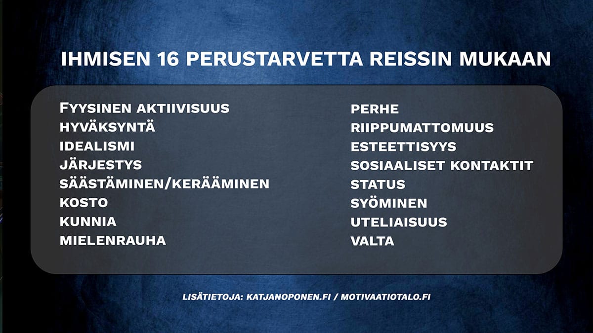 16Perustarvetta_REISS